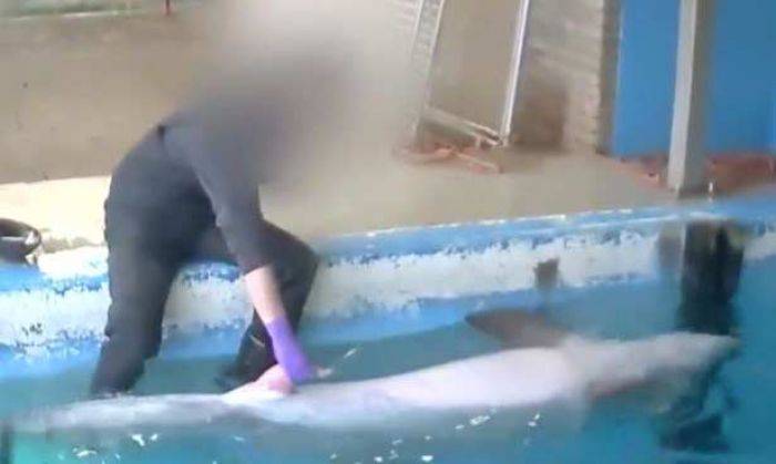 Berdalih Lumba-lumbanya Gay, Pelatih ini Bantu Onani