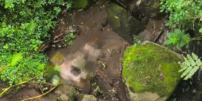  Lagi! Mayat Pria Tanpa Identitas Ditemukan di Bawah Jembatan Kembar Cangar