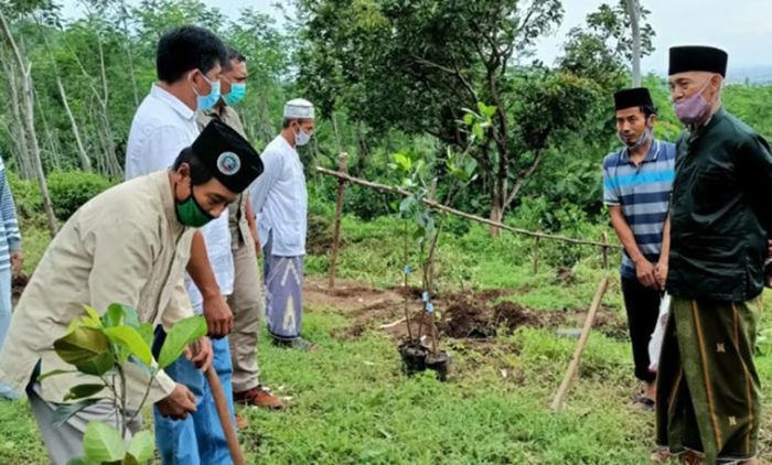 IAI Tri Bhakti Lirboyo Tanam Ratusan Pohon untuk Penghijauan di Kawasan Gunung Klotok