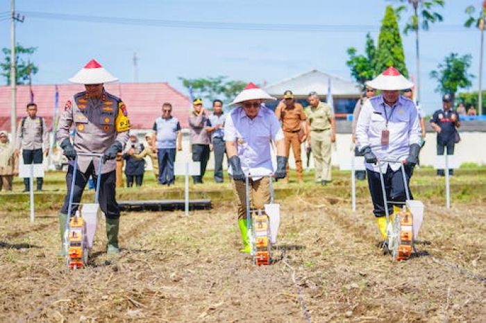 Pj Gubernur Adhy Bersama Polda Jatim Tanam Jagung Serentak di Blitar, Dukung Swasembada Pangan