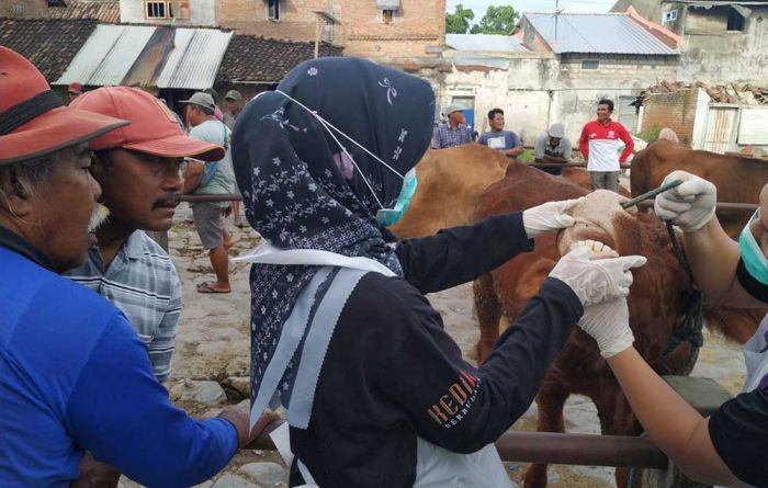 Pemkab Kediri Tutup Sementara Seluruh Pasar Hewan, Intensifkan Pengobatan PMK