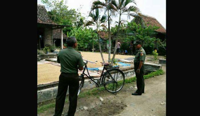 Serap Gabah Petani di Wilayah Kodim 0805/Ngawi, Tim Sergap Keliling Desa