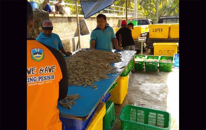 DLH Pacitan Imbau Pemilik Tambak Udang Segera Urus Dokumen Lingkungan