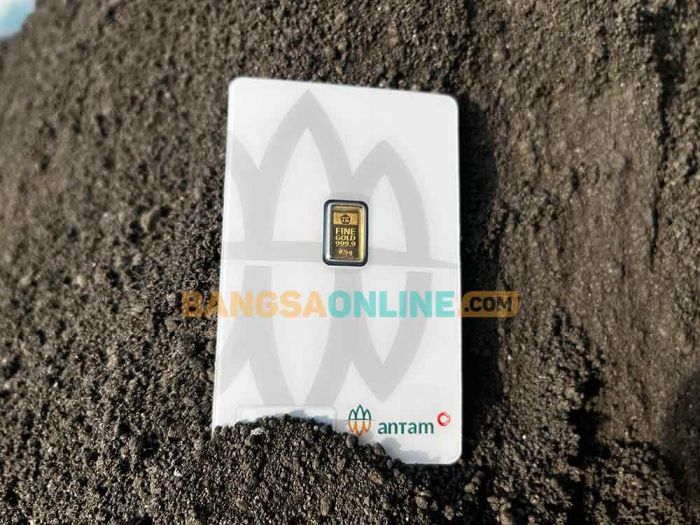 Semakin Melejit, Harga Emas Antam Hari Ini Naik Rp23 Ribu Semakin Melejit, Harga Emas Antam Hari Ini Naik Rp23 Ribu