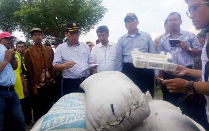 Dirjen Pertanian Kunjungi Bojonegoro, Amankan Gabah Petani