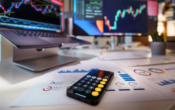 Peran Doktor Ekonomi dalam Merumuskan Arah Pembangunan Menuju Indonesia Emas 2045