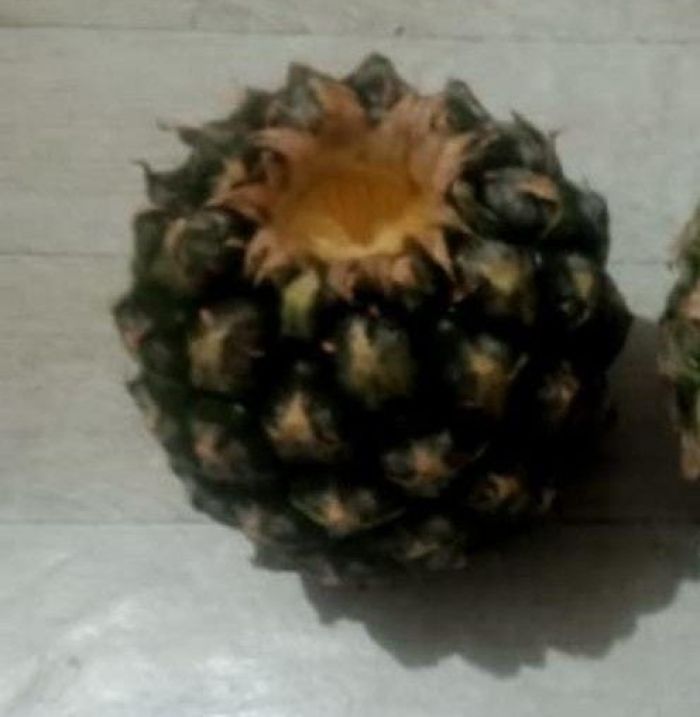 Di Lawang Malang, Menu MBG Hanya Satu Buah Nanas dan Kacang Bawang