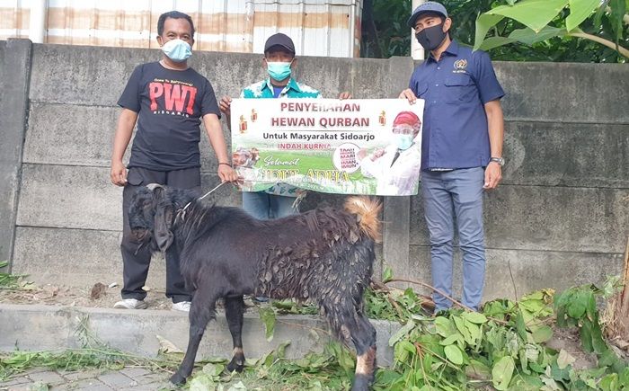 Anggota DPR RI Indah Kurnia Bagikan Hewan Kurban di Sidoarjo dan Surabaya