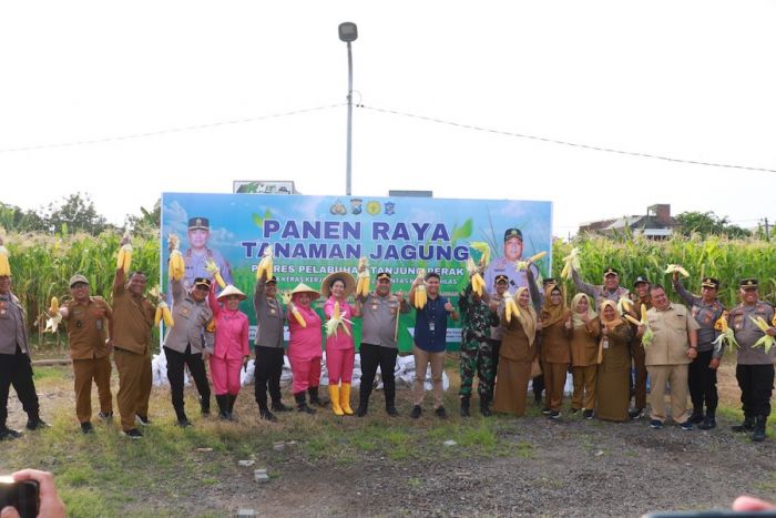 Polres Pelabuhan Tanjung Perak Panen Raya Jagung Bersama Kelompok Tani dan Mahasiswa