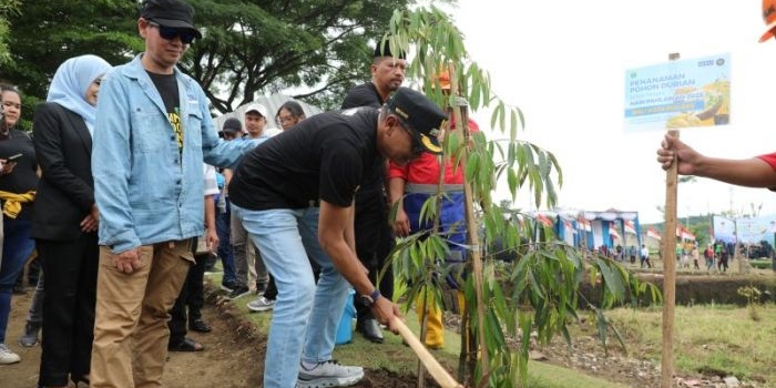 peringati-hari-pahlawan-wali-kota-malang-ikuti-aksi-tanam-1000-pohon-durian