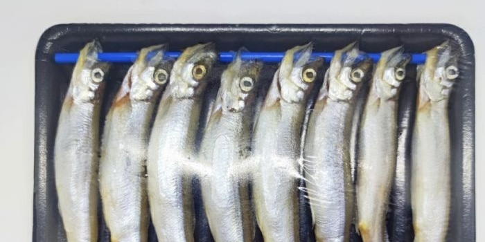 Resep dan Tips Masak Ikan Shisamo Goreng Tepung yang Viral di TikTok. Foto: Ist