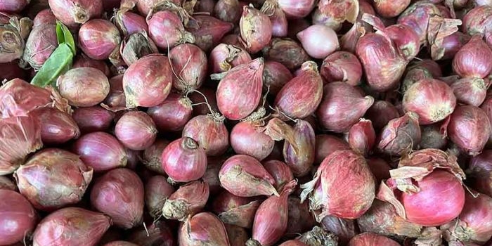 bawang-merah-mentah-turunkan-gula-darah-dan-jaga-jantung-berikut-pelbagai-manfaatnya