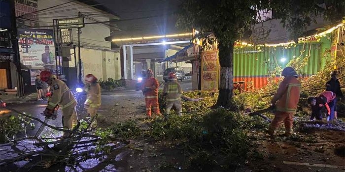 Petugas dari BPBD Kota Batu saat mengevakuasi pohon jenis akasia yang tumbang di Jalan Raya Diponegoro.