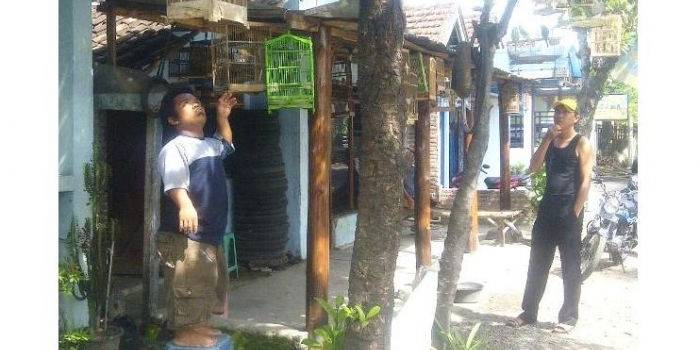 Si Ucok saat menggantungkan sangkar burung. foto: Soewandhito/BangsaOnline