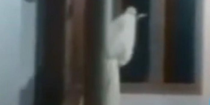 Tangkapan layar video viral "pocong bawa celurit" yang gegerkan warga Bangkalan