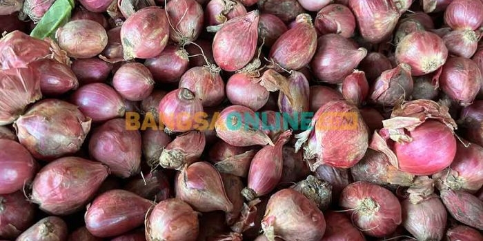 harga-sembako-surabaya-hari-ini-bawang-merah-rp48-500kg-beras-medium-rp13-350kg