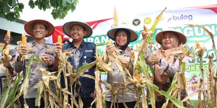 dukung-ketahanan-pangan-nasional-polres-mojokerto-kota-gelar-panen-raya-jagung