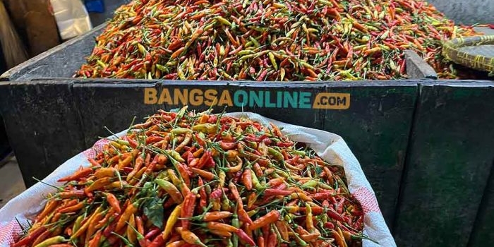cabai-rawit-naik-berikut-daftar-harga-sembako-jatim-terbaru-per-12-november-2025