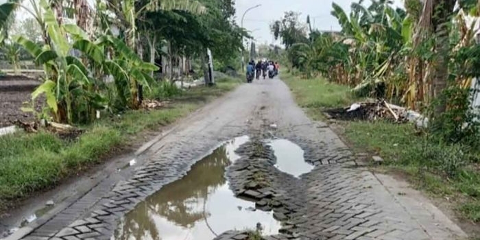 jalan-rusak-parah-kades-ngampel-desak-pemkab-gresik-segera-lakukan-perbaikan