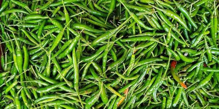 mulai-merosot-harga-cabai-di-jabar-turun-hingga-rp6-ribu