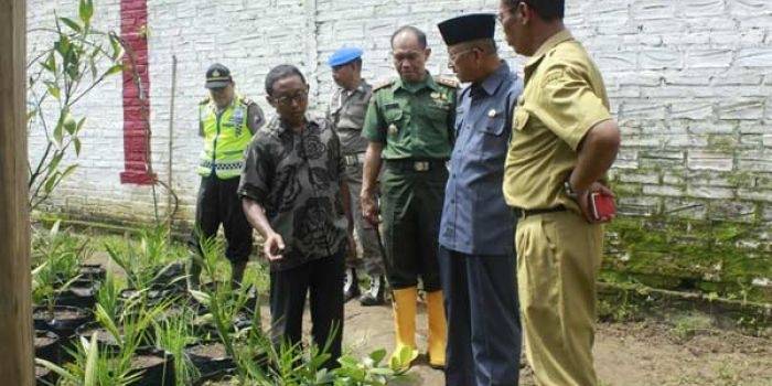 Wabup Ponorogo dan Kadispertan melihat hasil pertanian organik. foto: fajar/ BANGSAONLINE