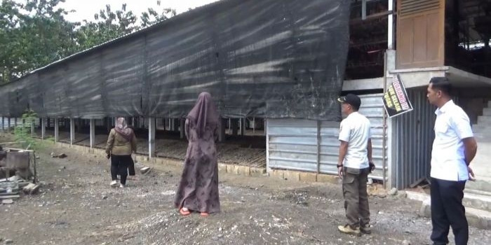 warga-rejomulyo-ngawi-keluhkan-bau-peternakan-ayam-petelur-minta-perbaiki-pengelolaan-limbah