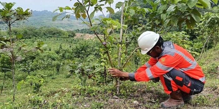 peringati-hari-lingkungan-hidup-sedunia-sbi-dorong-pemulihan-sda-di-wilayah-operasi