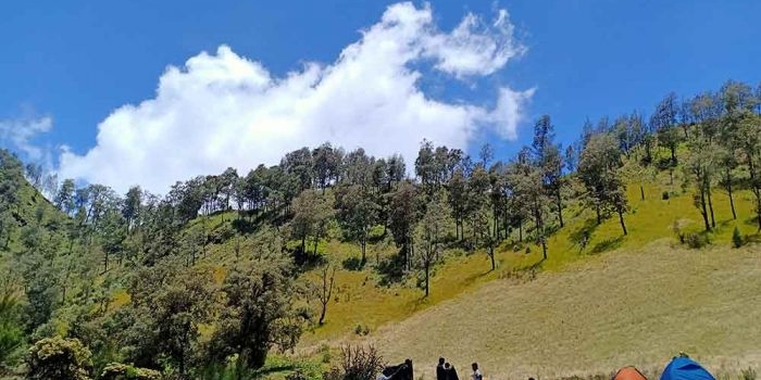 tnbts-buka-jalur-pendakian-semeru-mulai-24-april-2026