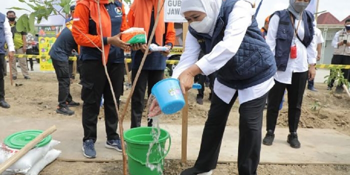 Gubernur Jawa Timur Khofifah Indar Parawansa menggelar gerakan restorasi mangrove dengan tajuk “Nandur Mangrove” di sejumlah daerah.