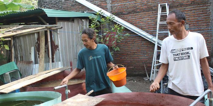 Koordinator Rumah Lansia Gusdurian Mojokutho Pare, Anugrah Yunianto (kanan) bersama relawan saat memberi makan lele. Foto: Ist