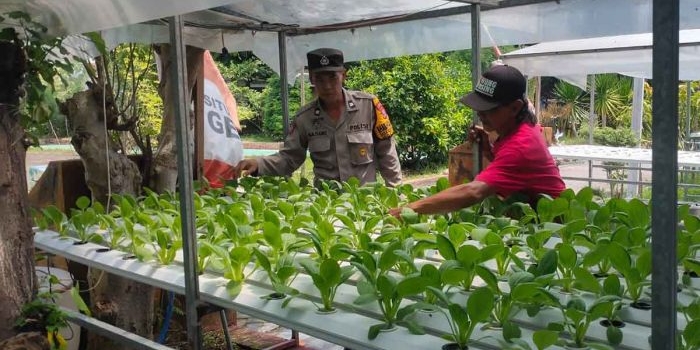 polsek-candi-motivasi-ketahanan-pangan-di-desa-gelam