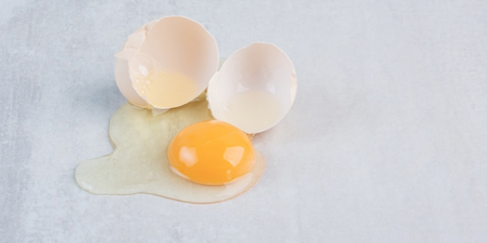 telur