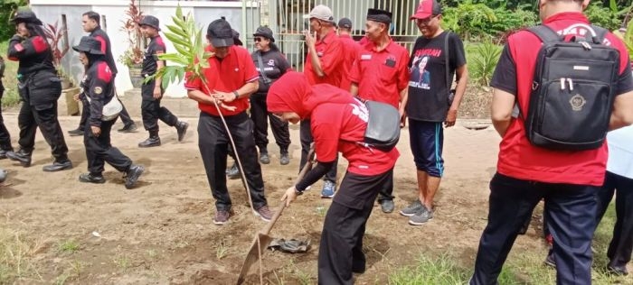 ultah-ke-79-megawati-pdi-perjuangan-kota-malang-tanam-ribuan-pohon