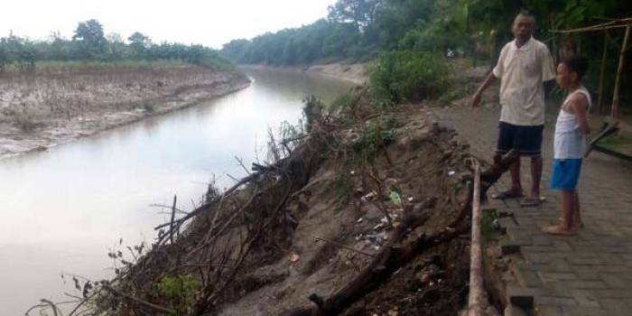 AMBROL: Warga menunjukkan tebing sungai Bengawan Solo yang longsor hingga menghanyutkan rumah. foto: eky nurhadi/ BANGSAONLINE