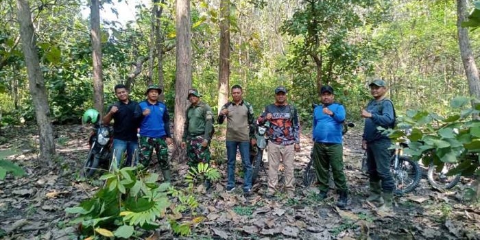 cegah-pencurian-kayu-perhutani-bkph-bancar-laksanakaan-patroli-rutin