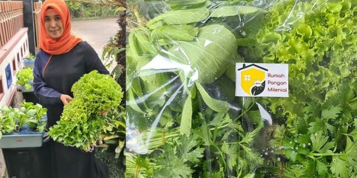 Lilyana Apriliyanti menunjukkan hasil panen tanaman hidroponiknya.