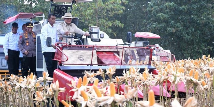 Presiden Prabowo didampingi Kapolri dan Menteri Pertanian saat memanen jagung di Kabupaten Tuban.