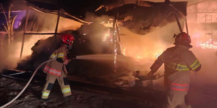 kandang-ayam-di-bojonegoro-terbakar-17-ribu-ekor-mati-terpanggang