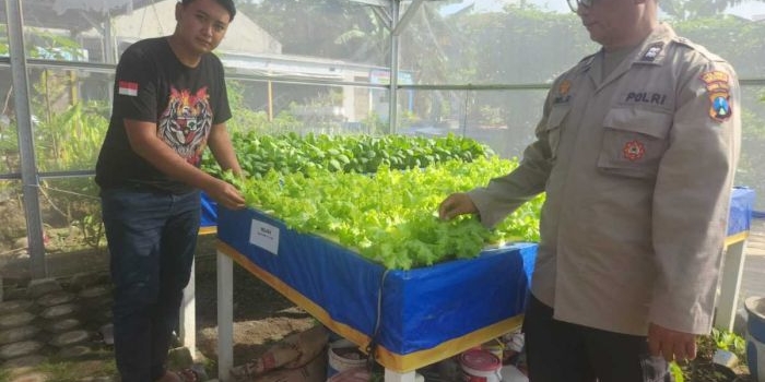 bhabinkamtibmas-tebel-tinjau-lahan-ketahanan-pangan-sayur-hidroponik-di-gedangan-sidoarjo