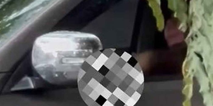 viral-pengemudi-pajero-sport-di-kota-malang-terekam-kamera-berbuat-tak-senonoh