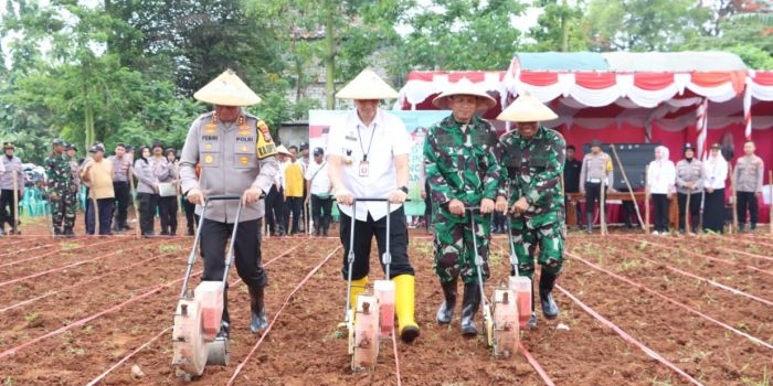 dukung-program-kpn-kapolres-bangkalan-gelar-tanam-jagung-bersama-forkopimda-dan-petani