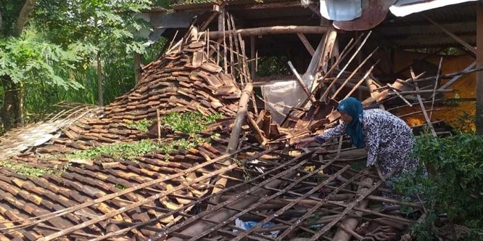 Salah satu rumah warga di Tuban ambruk terdampak gempa bumi.