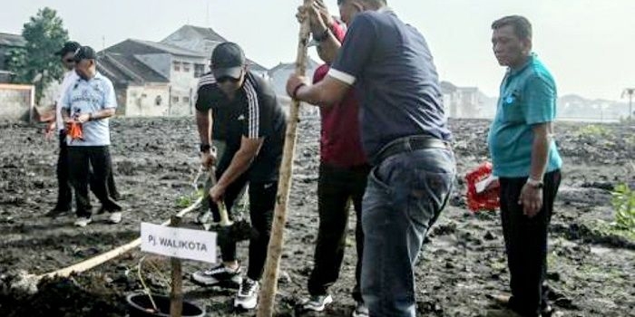 Pj. Wali Kota Mojokerto Ali Kuncoro didampingi Kepala DLH Amin Wachid dan OPD lainnya sedang tanam pohon di area kolam retensi.