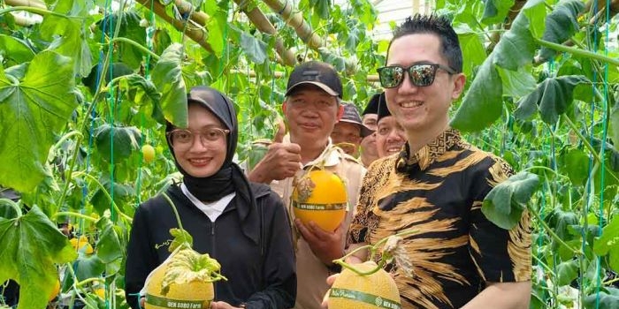 petik-melon-di-gen-sobo-farm-burengan-wali-kota-kediri-ajak-masyarakat-tingkatkan-ketahanan-pangan