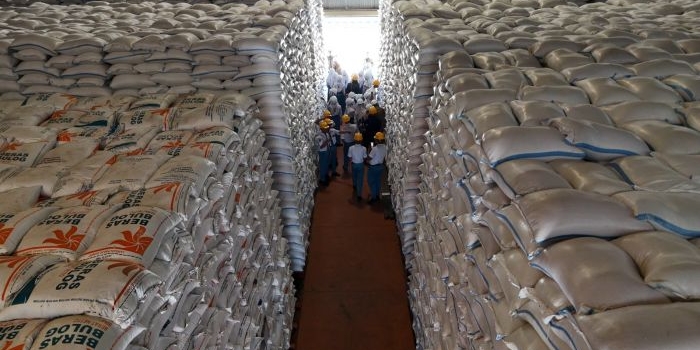 stok-beras-bulog-tembus-5-juta-ton-gudang-kediri-penuh-hingga-sewa-tambahan