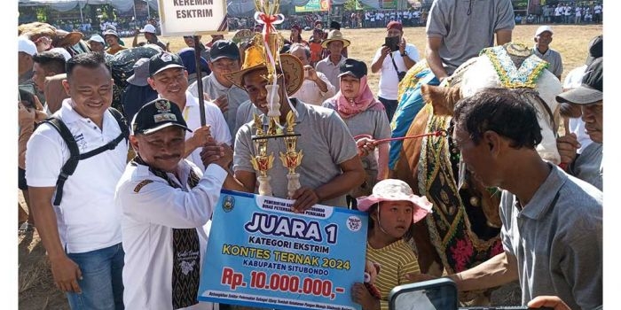 gelar-kontes-ternak-2024-bupati-karna-pertahankan-situbondo-lumbung-ternak-jatim