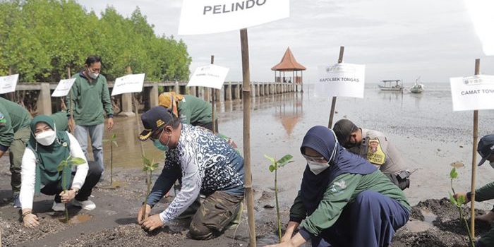 Suasana saat penanaman bibit mangrove di Pantai Bahak Probolinggo.