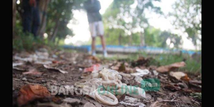 Tampak kondom bekas pakai yang bertebaran di Taman Keplaksari. foto: RONY S/ BANGSAONLINE