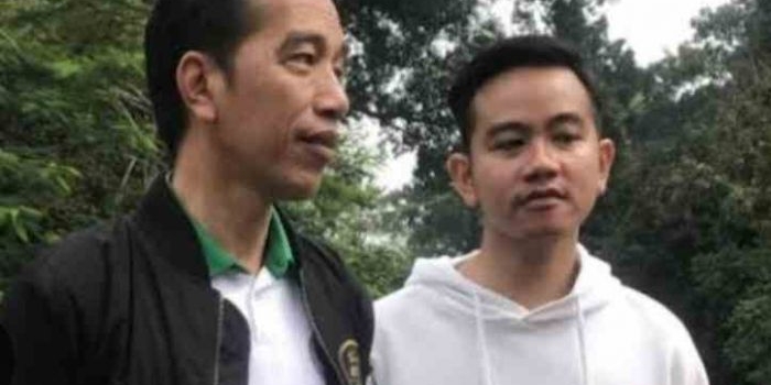 Jokowi dan Gibran Rakabuming Raka. Foto: Antara