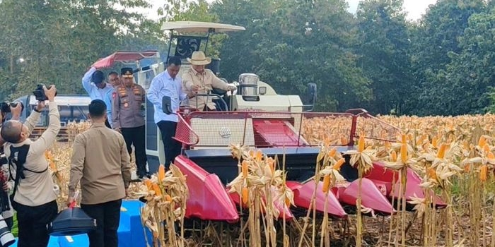 panen-raya-jagung-di-tuban-presiden-prabowo-puji-inovasi-pangan-yang-dilakukan-polri